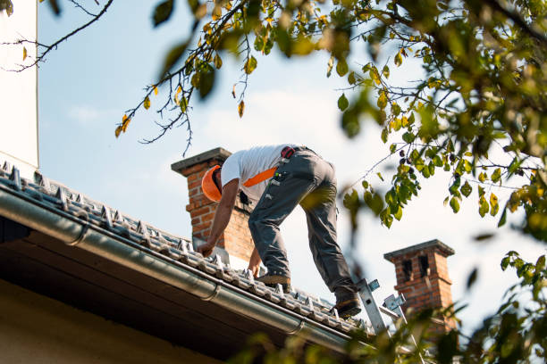 Trusted Mccullom Lake, IL Roofing Services Experts