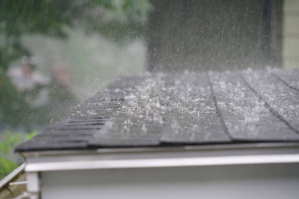 Best Rubber Roofing (EPDM, TPO)  in Mccullom Lake, IL