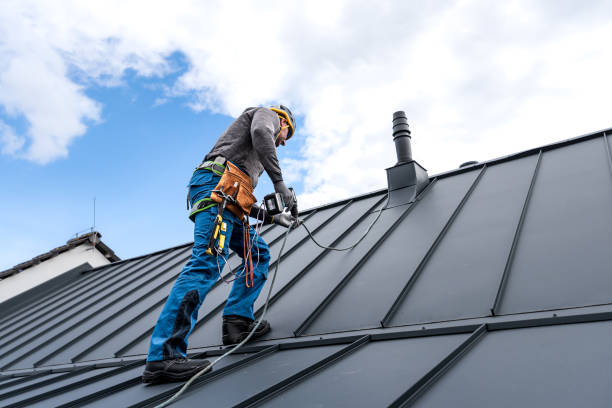 Best Solar Panel Roofing Installation  in Mccullom Lake, IL